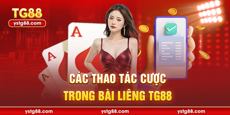Trải nghiệm game bài liêng TG88 đẳng cấp cùng cao thủ 2 Các thao tác cược trong bài liêng TG88