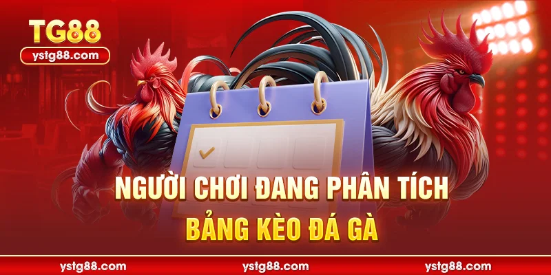 Đá Gà Cựa Sắt TG88 - Trực Tiếp Đấu Trường Thomo Mới Nhất 3 Người chơi đang phân tích bảng kèo đá gà
